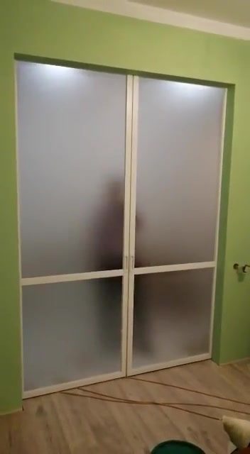 Двустворчатые матовые стеклянные двери